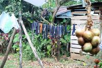 Unterwegs in Costa Rica - Sockenparade &ndash; &copy; Annett Müller (Eberhardt TRAVEL)